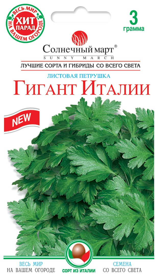 Петрушка Гигант Италии